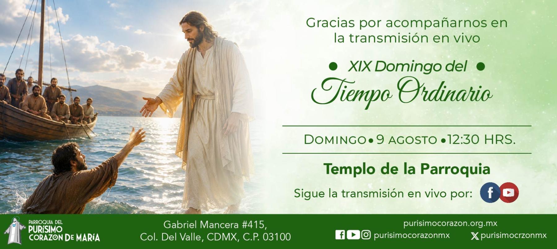 Santa Misa: XIX Domingo del Tiempo Ordinario Santa Misa: XIX Domingo del Tiempo Ordinario